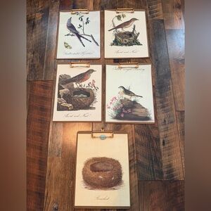 Set of 5 bird botanical prints clipped onto clipboards.